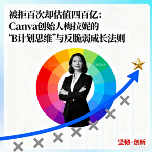 被拒百次却估值四百亿：Canva创始人梅拉妮的“B计划思维”与反脆弱成长法则