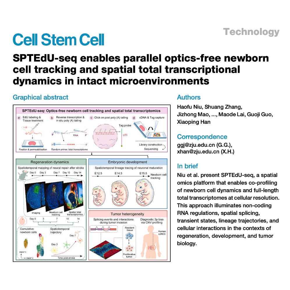 824-SPTEdU-seq: Spatiotemporal Newborn Cell Tracking episode artwork