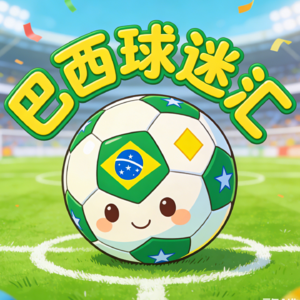 巴西球迷汇