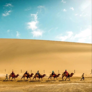 006.畅游中国：敦煌