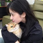 敏感小猫哲学家