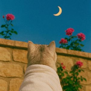 podcaster-avatar