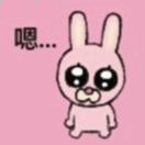 瓢儿_SHeF