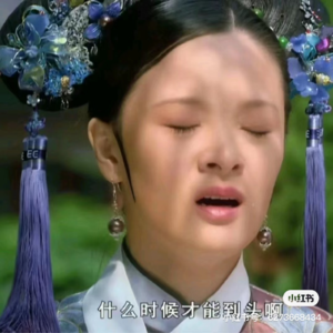 甄嬛传｜曹琴默竟是曹雪芹表姐？！