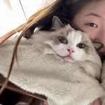 来杯白的
