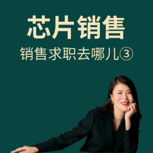 毕业求职季:芯片赛道销售还有机会再进入吗?