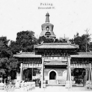 #008 唐斌:人在房子里,房子在园林中,园林在城市中,城市在大地上