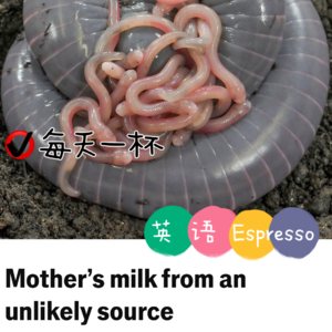 【200】蚓螈也有母乳？