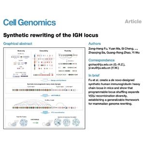 1103-Synthetic Rewriting of the IGH Locus