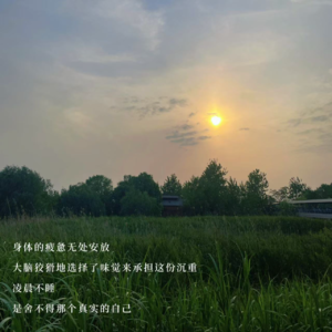白天的自己属于世界，夜晚的灵魂才敢拥抱自己