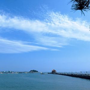 心动歌单 :海岛🏝️微风💨与橘子汽水般的慵懒🍊🥤