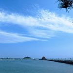 心动歌单 :海岛🏝️微风💨与橘子汽水般的慵懒🍊🥤