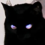 在你芳心纵把火