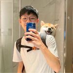 TFShiba