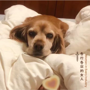 EP11海外广告优化师:有些光,不用问是否足够明亮