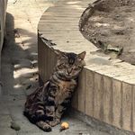 换个昵称吧123