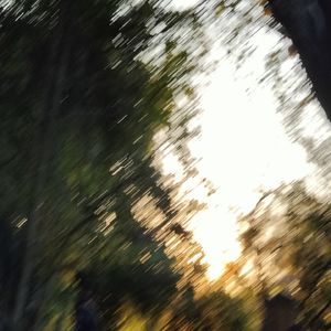 轰轰轰轰轰轰