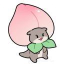 DT豆小桃