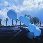 乔乔乔乔乔_2197