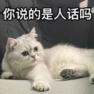 好好说话，有那么难吗？｜12km