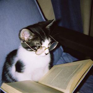 podcaster-avatar