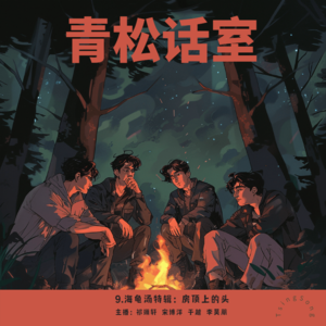 9.海龟汤特辑：房顶上的头