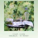 向南飞_DAGb