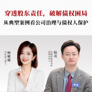 Vol.43穿透股东责任,破解债权困局——从典型案例看公司治理与债权人保护