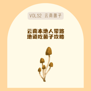 52吃菌子治好了我的精神内耗！地道云南吃菌攻略+私藏餐厅大公开