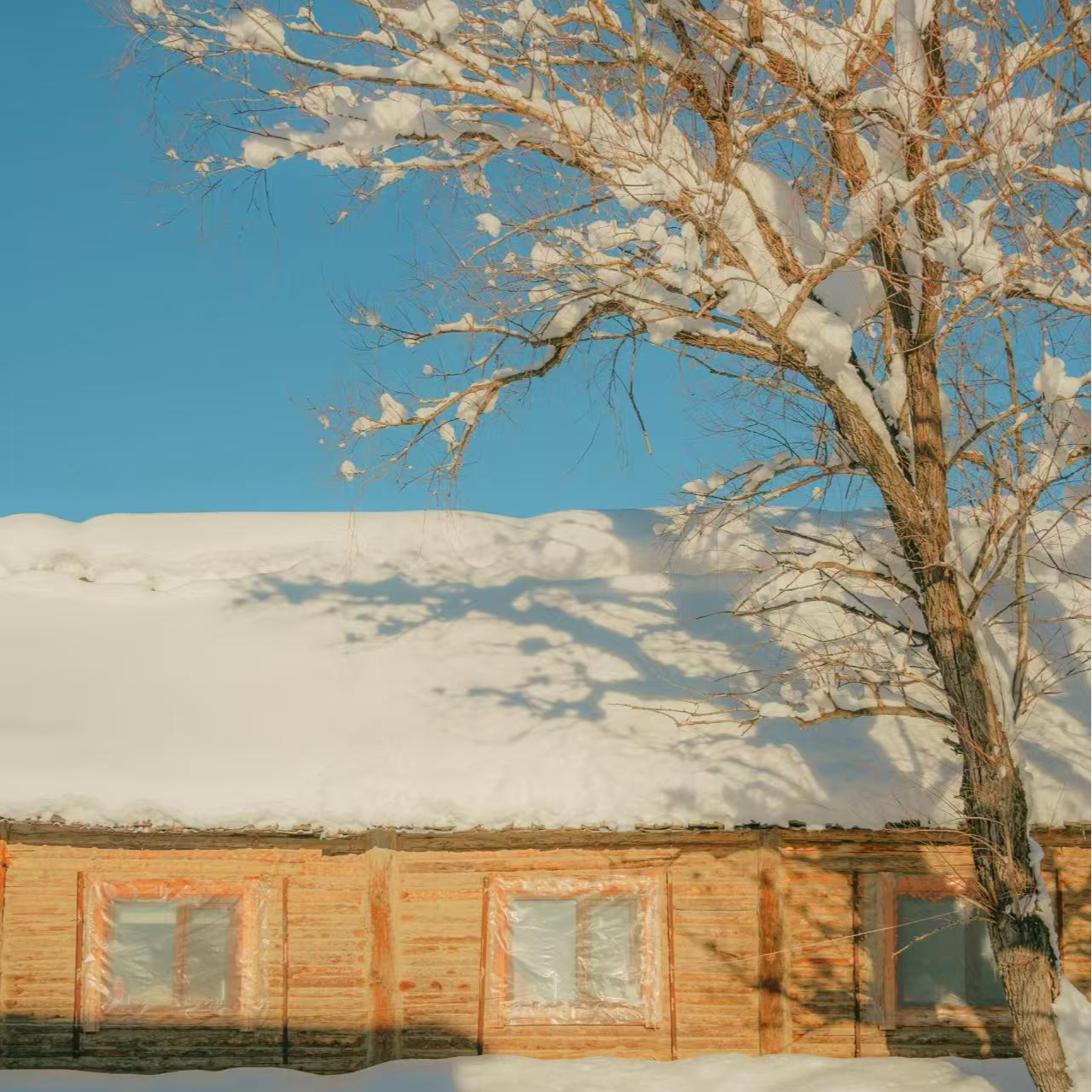 长大后才知道冬天可以不冷❄️