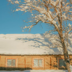 长大后才知道冬天可以不冷❄️