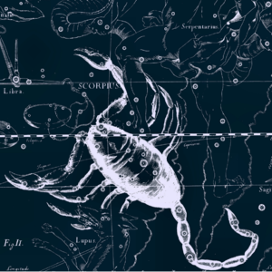 Vol.035ㅣ♏天蝎座：毁灭的涅槃，不断深挖人性的阴暗