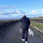 拖延症晚期的波