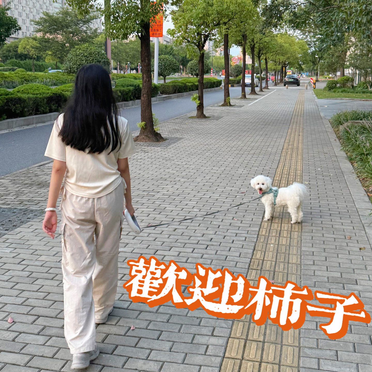 025 谈谈「有效养育」：不要过度表扬，只要关注、关怀和心理疏导 episode artwork
