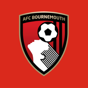 12.攻防持续发飙，积分再创新高~24/25赛季英超20队盘点（十二）：伯恩茅斯