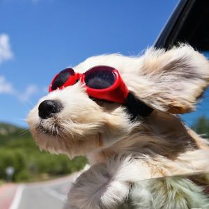 podcaster-avatar
