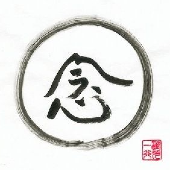 cover of episode E211 麦当劳式正念 vs 修行式正念