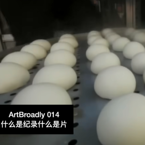 话不落地014 | 什么是纪录什么是片