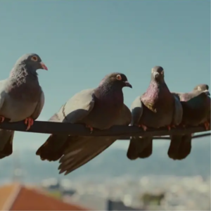 重启人生|给姐妹的一封情书:和你在一起,过平凡生活就很幸福