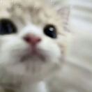 xuanZzz_xRKU