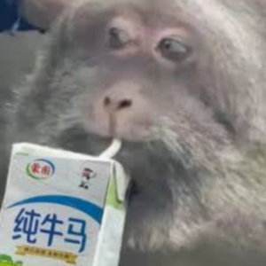 《资本社会的17个矛盾》："牛马"只需努力干活就好，老板需要考虑的事情就多了 | 第143期读书会