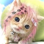 meowmeowow