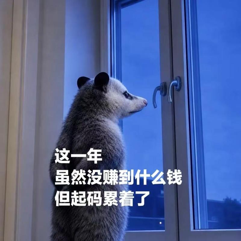 Vol.109 这一年,虽然没赚到什么钱,但起码累着了: ( Episode cover