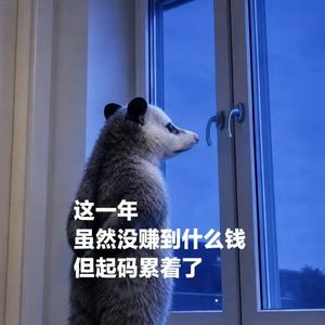 Vol.109 这一年，虽然没赚到什么钱，但起码累着了: (
