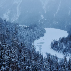 Vol 16 - 新的一年，和内耗说拜拜吧！