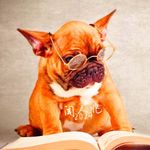 闻人兆读经济学人