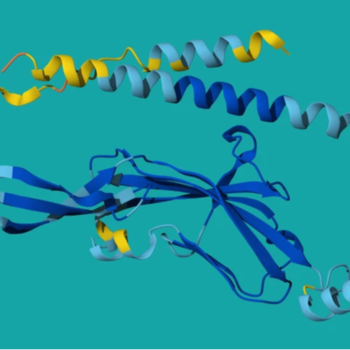 生统爱好者周刊（第 10 期）：AI 时代如何编程