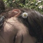山苔