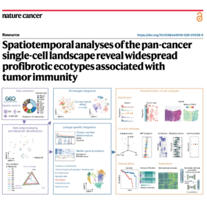 677-TabulaTIME: Pan-Cancer Landscape of Profibrotic Ecotypes