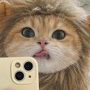 搞到耍
